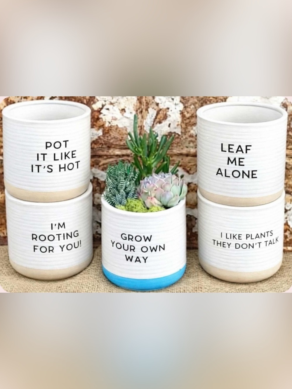 SUCCULENT POT/CANDLE BRUSHES PEN Ceramic No Drainage Hole 5โ x 5โ Cute Sayings ๐คญ